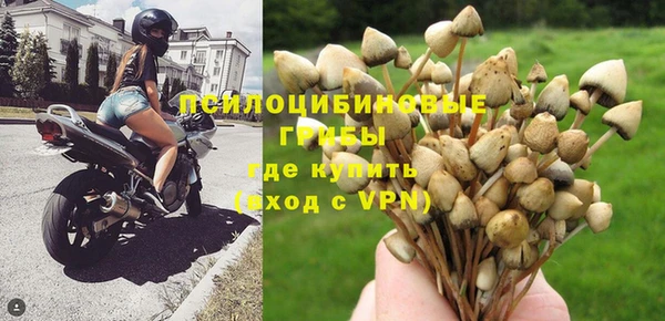 не бодяженный Алексин