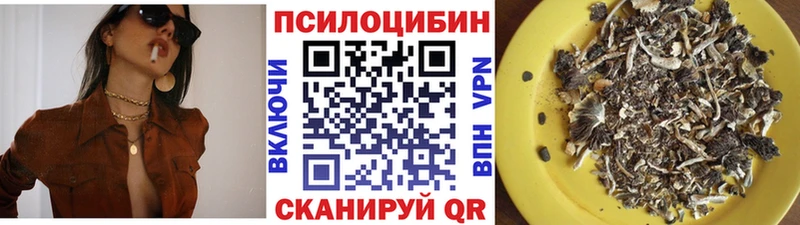Псилоцибиновые грибы Psilocybine cubensis  где купить   Юрьев-Польский 